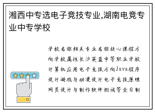 湘西中专选电子竞技专业,湖南电竞专业中专学校